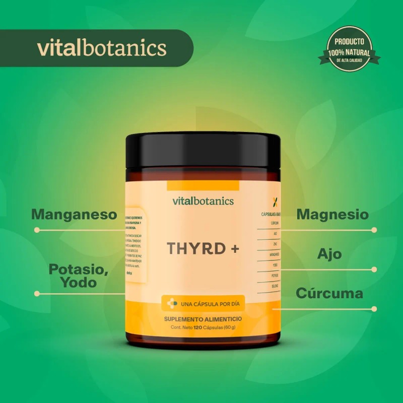 ⚡🌿 Ginseng + Yodo, Zinc y Selenio | 120 Cápsulas