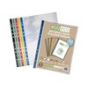 eco-eco A4 100% Recycled Coloured Spine Multi Punched Pockets Glass
