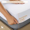 SlumberWell Terry Cotton Waterproof Fitted Mattress Protector, Breathable, Machine Washable