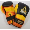 Ring to Cage Molded-Foam and Gel-Lined Training Boxing Gloves (14oz)