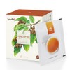 [5+1 Offer] 10 Hovenia chinensis tea bags, eco-friendly, biodegradable triangular