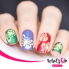 Whats Up Nails - Butterfly Wings Vinyl Stencils for Nail