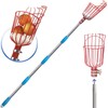 COCONUT Fruit Picker Pole with Basket Telescoping, 10 FT Fruit