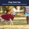 IECOii 2 Pack Large Dog T-Shirt | Non-Restrictive Fit for