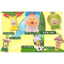 Kobi to Zukan Mejirushi Mascot (All 6 Types in Total Set) Gacha Capsule Toy