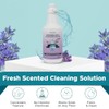 Steam & Go Demineralized Water for Steam Cleaner - PVC-Free