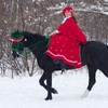 Paterr 4 Pcs Christmas Horse Accessory Xmas Santa Elf Reindeer