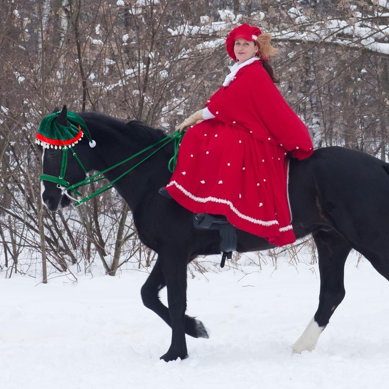 Paterr 4 Pcs Christmas Horse Accessory Xmas Santa Elf Reindeer