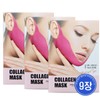 Prolance Collagen Lifting Masks (9 pieces) / 프로랑스 콜라겐 리프팅 마스크 9개