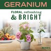 MRS. MEYER'S Clean Day All-Purpose Cleaner Spray, Geranium, 16 fl.