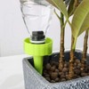 과습방지 6p세트 물주기 자동급수기 반려식물 꽃 화분 화분자동급수기 Humidity Control 6-Piece Set Automatic Watering System for Potted Plants and Flowers