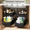2-Tier Pull-Out Under Sink Organizer for Kitchen & Bathroom Storage