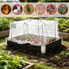 Reaeng Garden Netting Kit for Raised Beds, 10 x 13