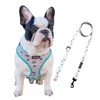 QTpawz French Bull Dog Vest Harness with Matching Leash, 4
