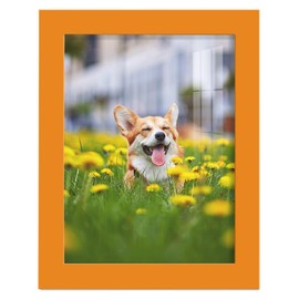 Renditions Gallery 6x8 inch Picture Frame High-end Modern Style, Made of Solid Wood and High Definition Glass Ready for Wall and Tabletop Photo Display, Orange Frame