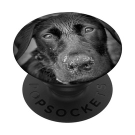 CJ Grips Labrador Retriever PopGrip - Black PopSocket Expandable Phone Grip Stand - Compatible with Most Cell Phones (Except Wireless Charging)