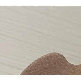 TOTCLEAR Knee Bag New tag