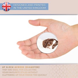 Destination Vinyl ltd Magnet for Refrigerator, Fridge - Cute Spaniel Puppy Dog Animals Pets for Office, Cabinet and Whiteboard, Magnetic Stickers, 8672