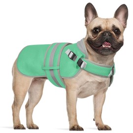 Lelepet Dog Cooling Vest for Summer Lightweight Breathable Mesh Cooling Jacket with Adjustable Straps Reflective Harness Vest with D-Rings for Small Medium Large Dogs Hiking Beach Outdoor Play