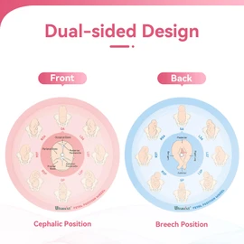 Ultrassist Midwife Fetal Position Tool - Large Size, Fetal Position Wheel for Midwives, Doula and Obstetricians Gifts, Childbirth Education Tool for Medical & Nursing Students
