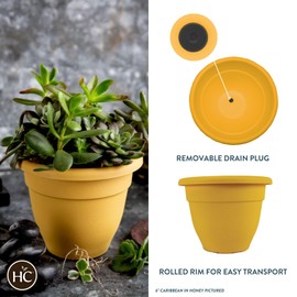 The HC Companies 6 Inch Caribbean Planter - Lightweight Indoor Outdoor Plastic Plant Pot for Herbs and Flowers,Honey (4 Pack)