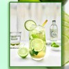 TXDYNLLK Dried Lime Slices 8.82OZ(250g) Premium Dehydrated Limes No Sugar
