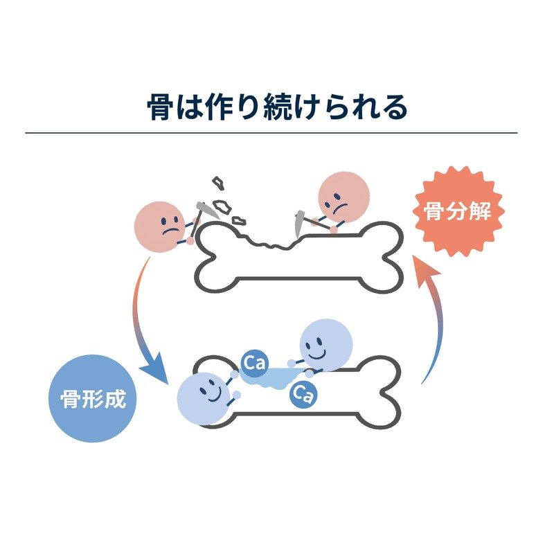 NIHON YAKKEN コツコツ貯金(150粒/30日分) カルシウムサプリ カルシウム不足解消