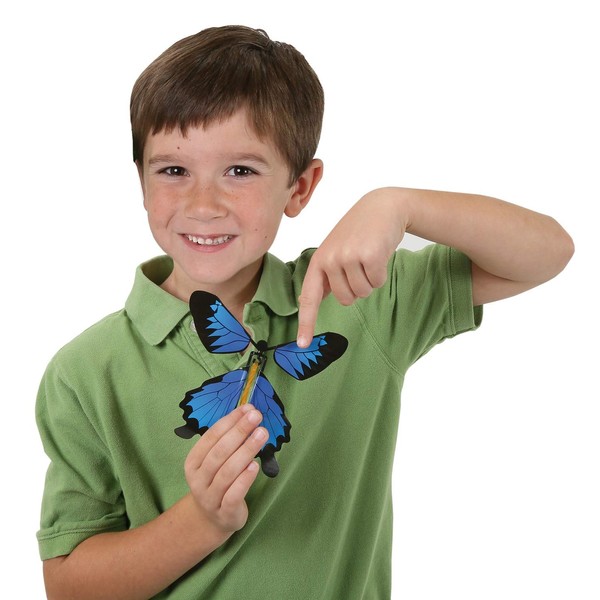 Insect Lore Butterfly Wind Up