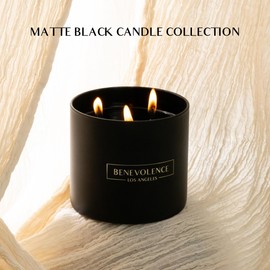 Benevolence LA 3 Wick Candles | Charcoal Scented Large Candle | 14.5 Oz Spring Scented Candles for Men | Natural Candles for Women | 45 Hour Burn Aromatherapy Long Lasting Candles, Bathroom Candle