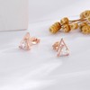 Simple Geometric Triangle Rose Gold Stud Earrings-Hypoallergenic Triangle Zircon Minimalism