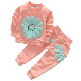 oddler Baby Girls Sunflower Clothes Set Long Sleeve Top and Pants 2pcs Outfits Fall Clothes (Age(4T), Pink)