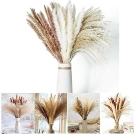 Unbranded 60Pcs Dried Pampas Grass 19.7" Natural Pampas Reeds Flower Bouquets Home Decor