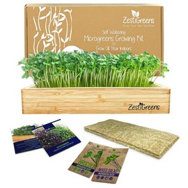 ZESTIGREENS Microgreens Kit: Self-Watering Tray, Seeds, Mats, Bamboo Frame - No Soil, Easy Setup, Guaranteed Growth - Kit Or Refills: Refill: 9 Mats & Seeds