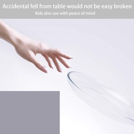 FOYO Oven Basics Glass Plate Set, 10 inch Round Tempered Glass Pie Dish, Set of 2