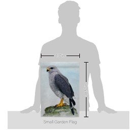 Breeze Decor Falcon Garden Flag Set with Stand Animals Bird Flamingo Hummingbird Cardinal Peacock Springtime Natural Wildlife House Decoration Banner Small Yard Gift Double-Sided, Made in USA