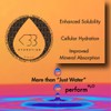 The Evolved Co.’s PerformH2O Performance Water with Below 33 Frequency