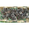 35 Natural Pine Cones, Small & Medium, Arts & Crafts,