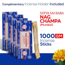 Raajsee Incense Stick Holder Bundle with Satya Nag Champa Incense Sticks 250 gmx 4 Pack (1000 GMS), Insense Sticks Nag Champa Agarbatti