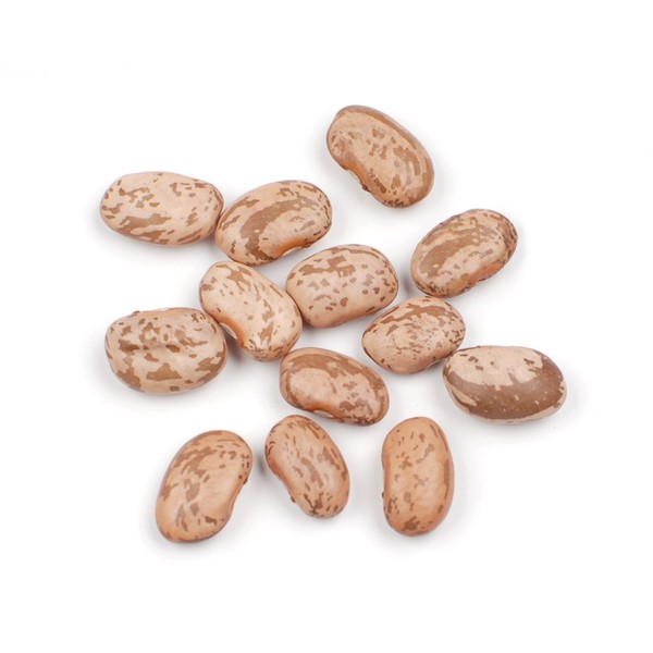 D’allesandro 25 lbs. Dry Pinto Beans, Certified Kosher & Non-GMO