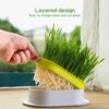 PCXWTLN Cat Grass Planter Tray, 3Pack Catnip Cat Grass Box