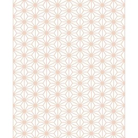 Clairefontaine 393817C Pack of 4 Sheets of Tissue Paper (50 x 70 cm, 18 g/m²) 1 Pack Diamond Light Brown