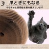 ozgram Play & Scratch Transform Magic Organ, Accordion, Cat Toy,