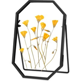 Glass Pressed Flower Frame Handmade, Metal Floating Picture Frame, Double Glass Frame for Pressed Flowers Tabletop Display  Brass Frame, Octagon, Black, 4x6 inches (FRAME ONLY) - Color: Black, Size: 8L" x 10W"