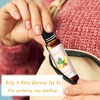2 Pack Frankincense & Myrrh Essential Oil Blend Oils Roll