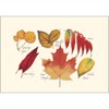 Earth Sky + Water - Fall Foliage Assortment Notecard Set