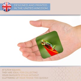 Destination Vinyl ltd Fridge Magnet - Red Eyed Tree Frog Jungle 2771