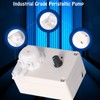 12V Adjustable Peristaltic Dosing Pump, 1ml-250ml/min Fine Tuning Titration Pump,