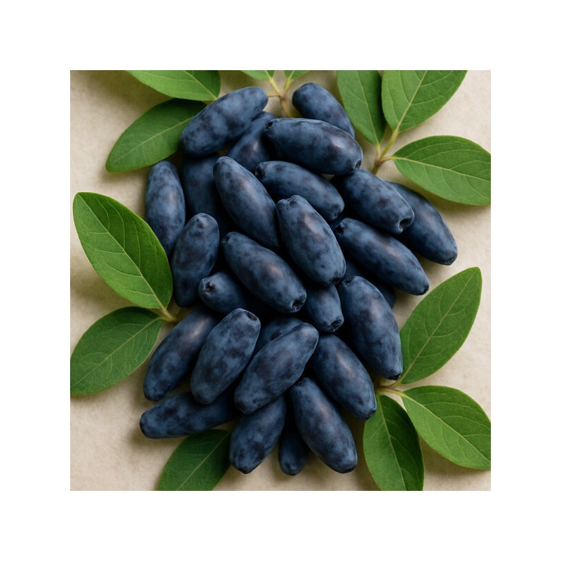 Charm goods Freeze-dried organic haskap berry powder from Poland 60g/2