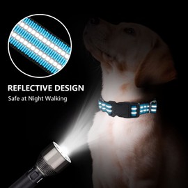 JOYEEIIOO Martingale Dog Collar, Adjustable Nylon Reflective Collar with Buckle No Pull Dog Collar for Small Medium Large Dogs（Blue L