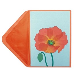 PAPYRUS Card Everyday, 1 EA